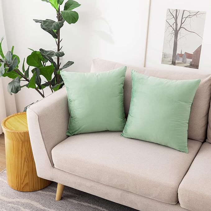 NiNi ALL Decorative Throw Pillow Covers Pack of 2, Velvet Cushion Case for Couch Bedroom Living Room Outdoor, Pillow Covers 20x20 Inch（50 x 50 cm） Sage Green