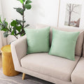 NiNi ALL Decorative Sage Green Throw Pillow Covers Pack of 2 Velvet 14x14 Inch Throw Pillow Cases for Couch Pillows Cover Bedroom Living Room Outdoor Pillows Cover