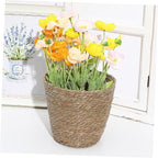 Boho Decorative Woven Basket Plant Pots for Shelves Handmade Woven Flower Pot for Dining