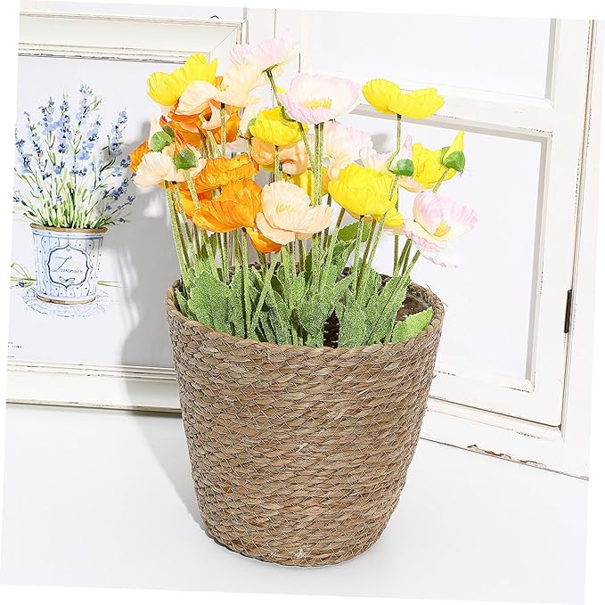 Boho Decorative Woven Basket Plant Pots for Shelves Handmade Woven Flower Pot for Dining
