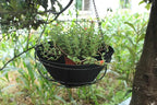 Non-Woven Fabric Plant Grow Bags Replacement Coco Liner Window Basket,Trough Shaped Wall and Deck Mount Planters,Round Hanging Basket (5-Pack, 12)