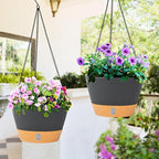 QCQHDU 2 Pack 8 Inch Hanging Planters for Indoor Outdoor Plants, Hanging Baskets Flower Pots with Reservoir Tray & Visible Water-Level