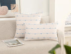 Set of 2 Boho Throw Pillow Covers 20x20,Light Blue and White Neutral Couch Pillow Case with Tassel Fringe Decorative,Modern Accent Farmhouse Cushion Covers for Sofa Couch Bed Living Room