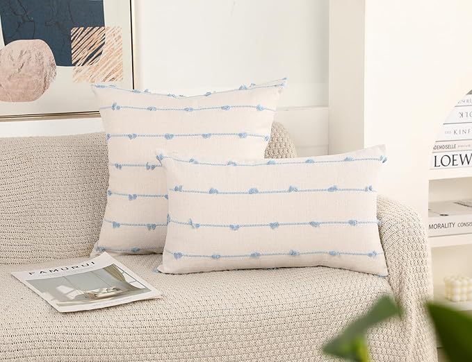 Set of 2 Boho Throw Pillow Covers 22x22,Light Blue and White Neutral Couch Pillow Case with Tassel Fringe Decorative,Modern Accent Farmhouse Cushion Covers for Sofa Couch Bed Living Room