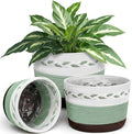 Remerry 3 Pcs 7" 9" 13" Cotton Rope Plant Baskets Indoor with Plastic Liner 3 Colorful Straw Woven Plant Basket Indoor Green Round Wicker Basket for Living Room Floor Potted Pots Decor