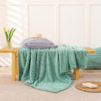 YUSOKI Sherpa Large Throw Blanket Single Layer,Light Weight(1.7lb),370GMS-3D Stylish Design for Gift Home Decor (Light Green,50"x65")