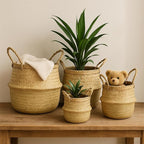 Seagrass Plant Basket Set of 3 with Handles – Handwoven Woven Basket Planter, Indoor Plant Basket & Plant Holder Basket, Natural Fiber Wicker Plant Pot Basket for Boho Farmhouse Home Decor