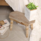 Wooden Bathroom Wood Foot Stool for Adults Kids, Bedside Step Planter Stool for Kitchen(Natural)
