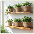 12 Pcs Seagrass Plant Basket with Plastic Liners Woven Stylish Planter Baskets Bulk Indoor Outdoor Plants Woven Wicker Baskets for Flower Pots Cover and Room Decor Small (Mixed Size,Rustic)