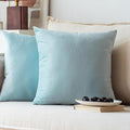 NiNi ALL Decorative Throw Pillow Covers Pack of 2, Velvet Throw Pillow Cases for Couch Pillows Cover Bedroom Living Room Outdoor Pillow Covers 24x24 Inch Baby Blue
