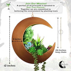 Hanging Crescent Moon Planter - Moon Room Decor - Unique Planters for Succulents, Air Plants, Cactus, Artificial Plants- Plant Lover Gifts - Boho, Hippie, Birthdays, Witchy Gifts for Women (Gold)