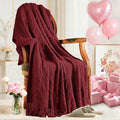 inhand Claret Knitted Throw Blanket for Couch Bed, Mothers Day/Mom Birthday Gifts for Mom from Daughter Son, Soft Lightweight with Tassels, Farmhouse Warm Decorative Blanket for Women, 50"x60"