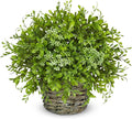 Hollyone Artificial Boxwood Plant in Woven Pot 9” Fake Potted Plants Topiary Boxwood Greenery Arrangement Centerpiece Faux Plants for Home Indoor Outdoor Farmhouse Office Desk Centerpiece Shelf Decor