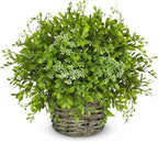 Hollyone Artificial Boxwood Plant in Woven Pot 9” Fake Potted Plants Topiary Boxwood Greenery Arrangement Centerpiece Faux Plants for Home Indoor Outdoor Farmhouse Office Desk Centerpiece Shelf Decor
