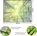 Onivein Green Forest Tapestry Nature Tapestry Ceiling Tree Sunlight Landscape Tapestries for Bedroom Living Room Office Classroom Decor 60 x 50 Inches