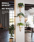 Bamworld Wall Plant Holder Wall Planters for Indoor Plants Plant Hanger Indoor Window Plant Shelves Hanging Plant Holder Window Plant Hanger Plant Decor Golden 3pcs