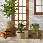 simarro 3 Pack Seagrass Planter Basket, 3 Sizes Stylish Plant Containers Flower Pots with Plastic Lining Woven Baskets for Plants Indoor and Outdoor