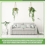 6 Set Mini Fake Hanging Plants with Woven Basket Boho Artificial Ivy Faux Vines Eucalyptus Leaf for Indoor Home Wall Living Room Bathroom Shelf Decor (Mandragora Leaf)