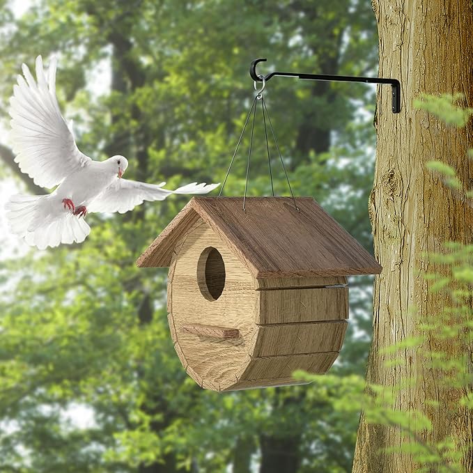 10 Inch 2 Pack Black Heavy Duty Outdoor Plant Hangers, Iron Hanging Plant Brackets for Hanging Plants Outside, Metal Plant Hooks Plant Wall Hooks for Hanging Lantern, Bird Feeder