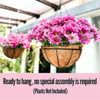 LaLaGreen Hanging Baskets for Outdoor Plants(6 Pack, 14 Inch) Large Hanging Planter with Coco Liner Round Flower Pots, Black Metal Wire Plant Holder Hook Hanger Deck Porch Modern Garden Balcony Decor