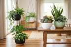 Hanging Planters, 3-Pack 10 Inch Self-Watering Pots with Drainage Holes and Chains, Matte Plastic Planters for Indoor/Outdoor Plant（White Brown）