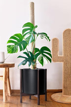 D'vine Dev Planter Pot with Stand - 12 Inch Plastic Cylinder Flower Pot with Wood Planter Holder for Indoor, Matte Black Pot + Walnut Color Stand, 55-C-O-2