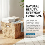 Honey-Can-Do Water Hyacinth Storage Baskets - Durable Wicker Basket with Handle for Organizing Home Essentials, Ideal for Pantry Organizers and Storage & Blanket Basket, Large, 15"x15"x12", Natural