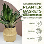 Seagrass Plant Basket Set of 3 with Handles – Handwoven Woven Basket Planter, Indoor Plant Basket & Plant Holder Basket, Natural Fiber Wicker Plant Pot Basket for Boho Farmhouse Home Decor