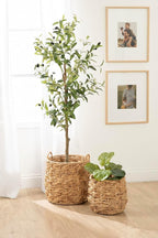 Kate and Laurel Livia Modern Two-Piece Woven Basket Set; 16 x 16 and 13 x 13; Natural Water Hyacinth; Transitional Natural Wicker Baskets for Use as Woven Planters or Living Room Blanket Baskets