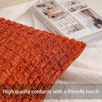 Pack of 2 Corduroy Decorative Throw Pillow Covers 20x20 InchSoft Striped Pillow Covers Modern Farmhouse Home Decor for Sofa Living Room Couch Bed（Wine Red）