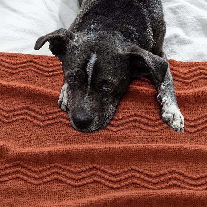 MIULEE Rust Knitted Throw Blanket for Couch Boho Terracotta Textured Cozy Woven Blanket with Tassels for Sofa Chair Bed Living Room Acrylic Wave Pattern 60"x80"