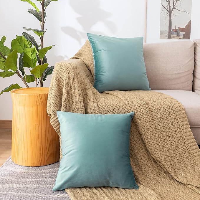 NiNi ALL Decorative Throw Pillow Covers Pack of 2, Velvet Cushion Case for Couch Bedroom Living Room Outdoor, Pillow Covers 20x20 Inch（50 x 50 cm） Light Blue