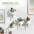 DELLAN Wall Plant Holder, 3 Pack Metal Wall Planters Stand Floating Shelves for Indoor Plants, Window Sill Plant Decor for Bedroom, Bathroom, Living Room, Home, Office, All White