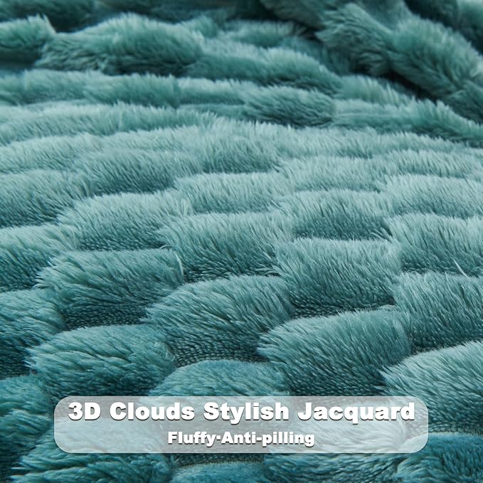 NEWCOSPLAY Super Soft Twin Blanket Light Teal Premium Silky Flannel Fleece 3D Clouds Stylish Jacquard Lightweight Bed Blanket All Season Use 350GSM (Light Teal, Twin(60"x80"))