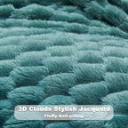 NEWCOSPLAY Super Soft Twin Blanket Light Teal Premium Silky Flannel Fleece 3D Clouds Stylish Jacquard Lightweight Bed Blanket All Season Use 350GSM (Light Teal, Twin(60"x80"))