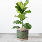 Sturdy Jute Planter Basket Modern Woven Basket for 6" Flower Pot Floor Indoor Planters, 6” x 6” Storage Organizer Basket Rustic Home Decor, Boho Storage Earth-Friendly Planter (6x6 inches, Green 6)
