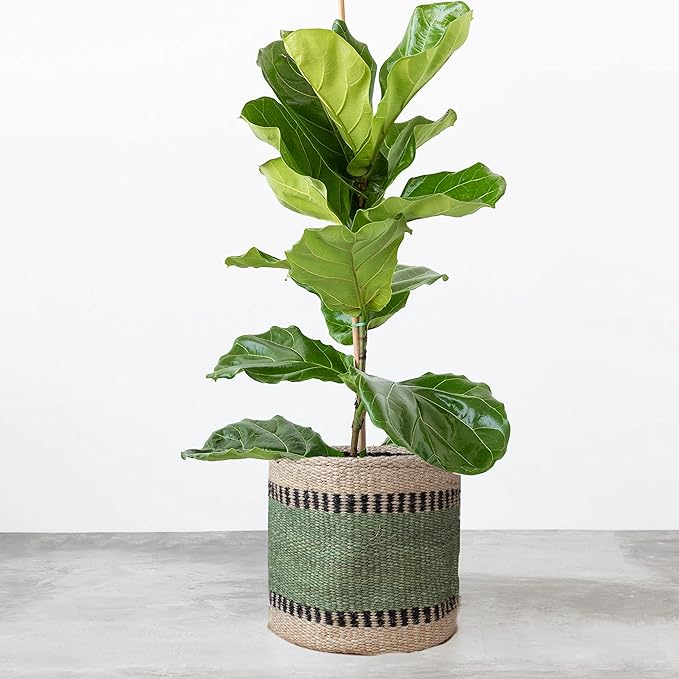 Sturdy Jute Planter Basket Modern Woven Basket for 6" Flower Pot Floor Indoor Planters, 6” x 6” Storage Organizer Basket Rustic Home Decor, Boho Storage Earth-Friendly Planter (6x6 inches, Green 6)