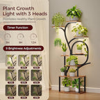 Plant Stand Indoor with Grow Lights - 60" Tall Plant Shelf, Indoor Plant Lighting Stands, 8 Tiered Flower Holder, S-Shaped Decorative Rack for Living Room, Rustic Brown and Black PSHR170E01