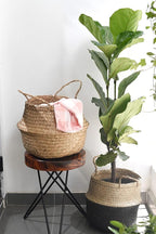 Seagrass Belly Basket (Size: 14x14x13 inches, Color: Yellow Natural - Set of 2) Laundry, Picnic - Plant Pots Cover Indoor Home Decor - Hand Woven Straw Beach Bag with Handles…
