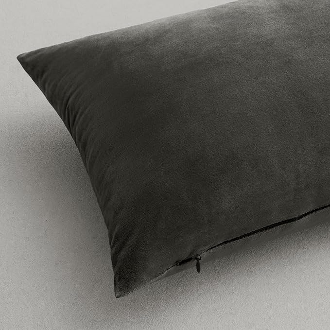 MIULEE Pack of 2 Velvet Pillow Covers Decorative Square Pillowcase Soft Solid Cushion Case for Sofa Bedroom Car 18 x 18 Inch Dark Grey