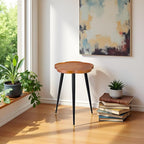 Plant Stand Indoor, Wood Plant Table Plant Holder with Raised Design,Heavy Duty Metal Flower Pot Stand, Mid Century Modern Home Decor Small Side End Table（Clr.1-Flower 16" H）