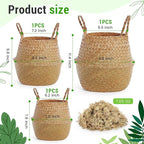 Large Wicker Plant Basket with Handle 10 Inch Woven Seagrass Belly Basket and Artificial Moss for House Plants Picnic Grocery Laundry Storage Home Decor(Small, Medium, Large,Original,3 Pack)