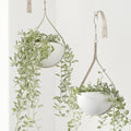 Hajia 2 Pack Waterdrop Shaped Hanging Planter, Beige Metal Plant Hanger with Non-Detachable Pots, Boho Hanging Plant Holder for Wall and Ceiling Decor.(No Plants or Drainage Holes)