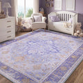 Area Rugs 5'x7' Washable Non-Slip, Floral Vintage Distress Print Pattern Medallion Carpet for Living Room Bedroom Dining Room, Light Purple Brown