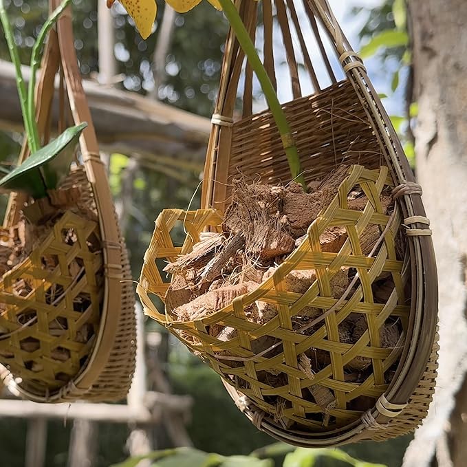 Handmade 100% Thai Bamboo Hanging Orchid Basket – 4 Inch Set of 3 – Easter Gift Idea & Spring Seasonal Decoration