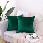 2 Pack Soft Velvet Couch Throw Pillow Covers 20x20 Inch for Sofa Living Room Bedroom (Emerald Green)