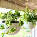 LaLaGreen Hanging Planters for Indoor Plants (11 Inch, 4 Pack) White Rattan Style Self-Watering Hanging Flower Pots with Water Level Indicator, Round Baskets Metal Chain for Balcony Patio Garden Decor