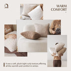 Foindtower 2 Pieces 16x16 Inch Chocolate, Faux Fur Throw Pillow Cover Accent Sherpa Pillow Fuzzy Soft Pillowcases Sheepskin Decorative Fleece Cushion Case for Bed Couch Living Room