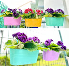 LaLaGreen Outdoor Hanging Planter (11.2 Inch, 6 Pack) Light Purple, Green, Yellow, Cadet Blue, Dark Pink, Red Metal Iron Window Box Flower Pot Deck Railings Balcony Fence Rail Porch Home Garden Decor