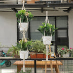 3 in 1 Macrame Kit for Beginners, 3mm x 220yards Cotton Macrame Cord, 3 DIY Macrame Plant Hanger Kits for Adults with Instructions Macrame Supplies Best for Macrame Plant Hanger Kit